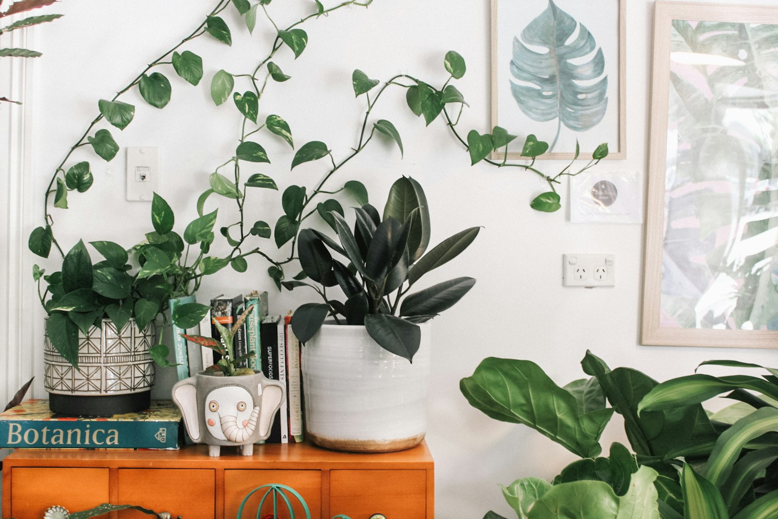 Jardinière fleurie sur mesure avec compositions de plantes de saison